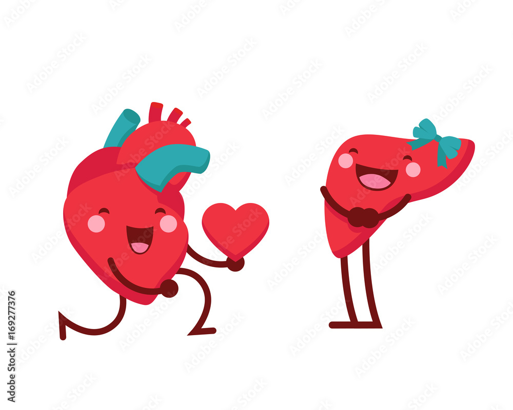 Healthy Happy And Cute Human Anatomy Illustration Cartoon - Healthy  Romantic Heart Giving Out Love To Liver Stock Vector | Adobe Stock