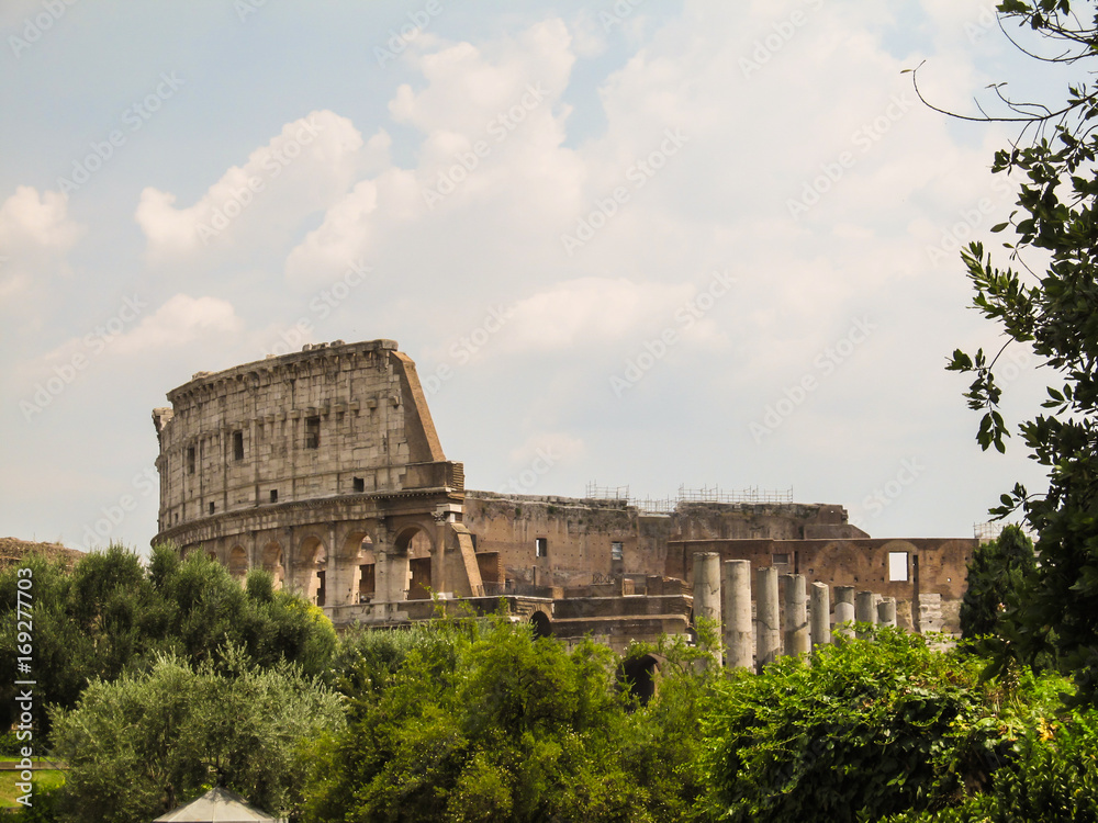 A view of the Coliseum among trees - Rome, Italy