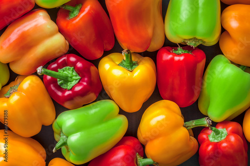 Fotografia Assortment overhead group of colorful bell peppers in studio on dark background