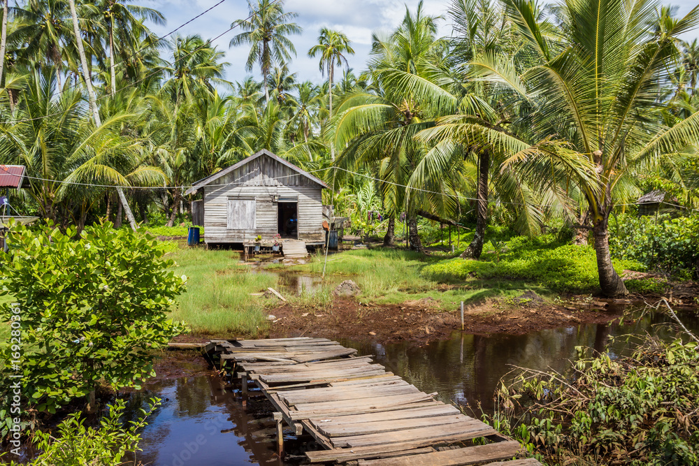 house made of straw and wood surrounded by palms on sunny day house made of straw and wood surrounded by palms on sunny day