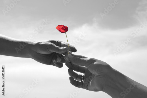 Love and romance