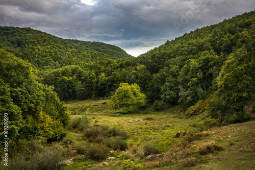 Lonely tree in the middle of a valley