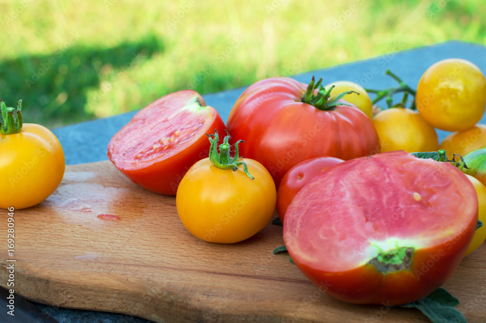 Yellow and red tomatoes on the board Yellow and red tomatoes on the board