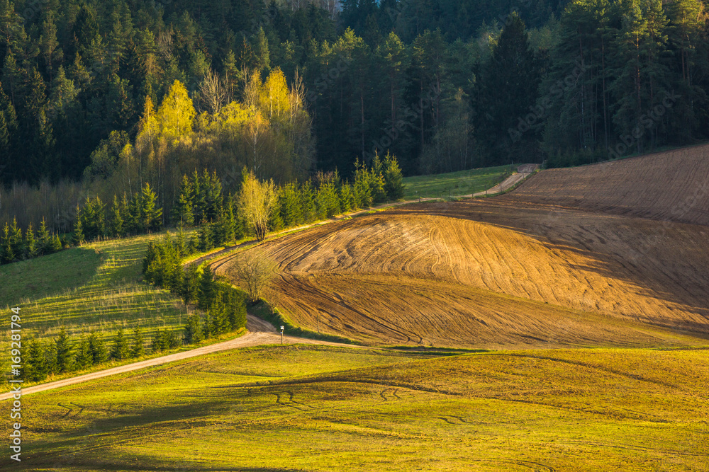 Spring view of road, meadows and trees in Suwalski landscaped park, Podlasie, Poland