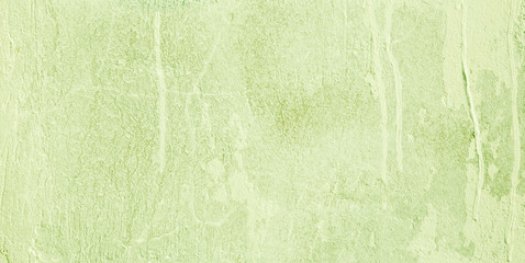 Wide screen Decorative Light Green background