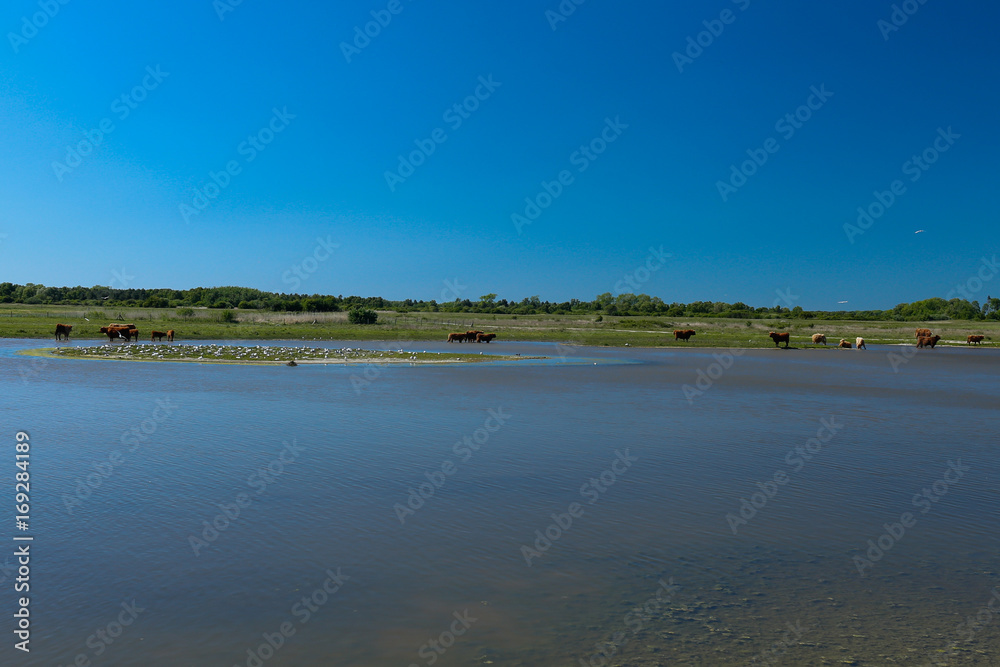 Baie de somme