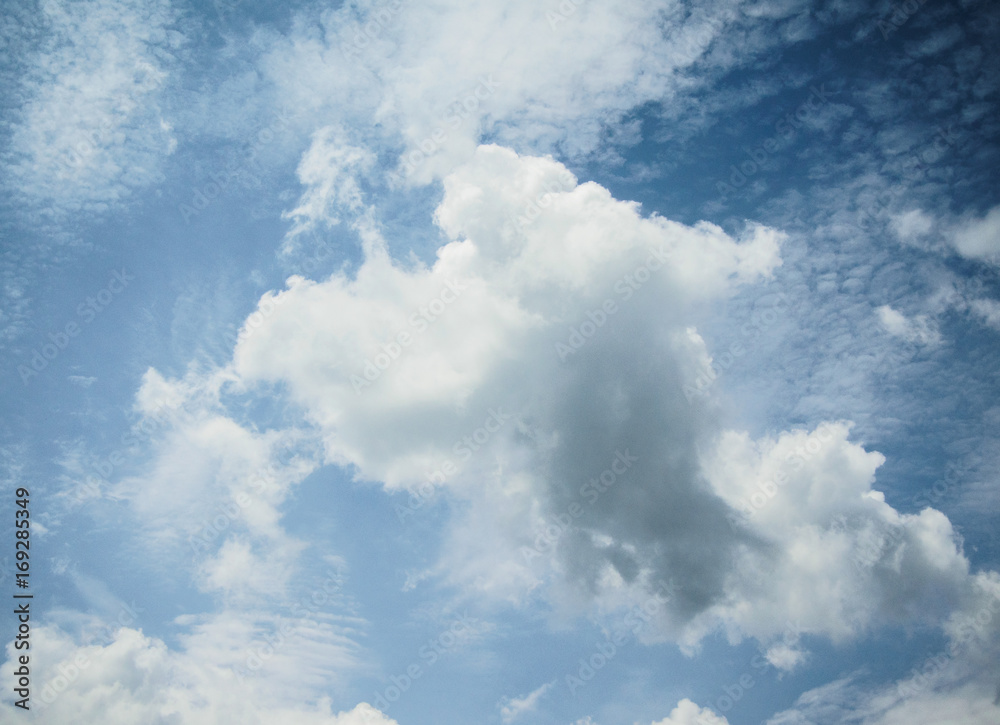 Fototapeta premium cloud and blue sky in the sunny day