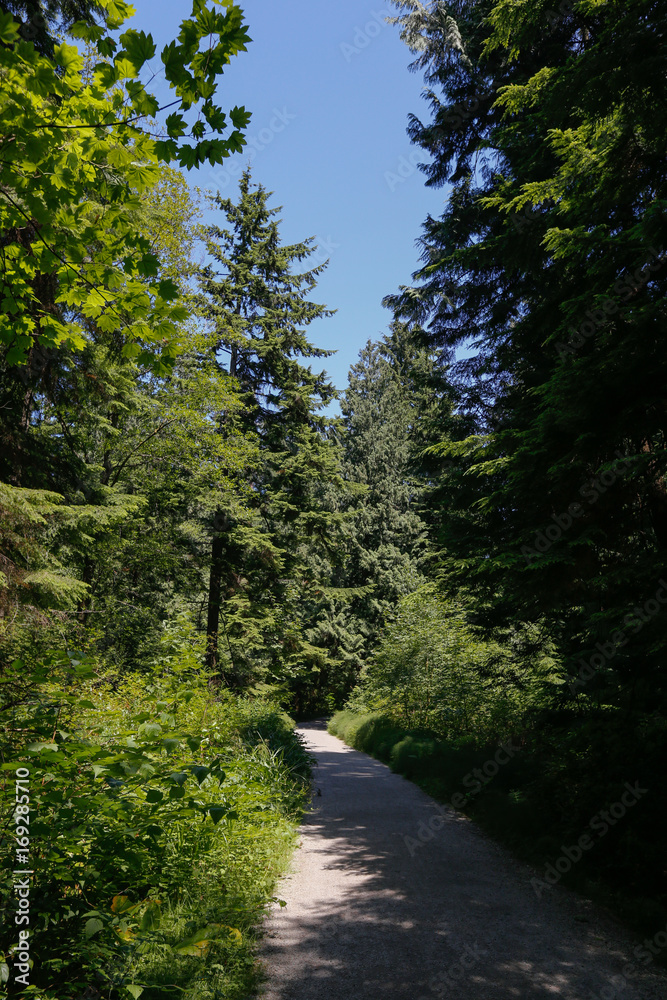 Fototapeta premium Canada_West-3116