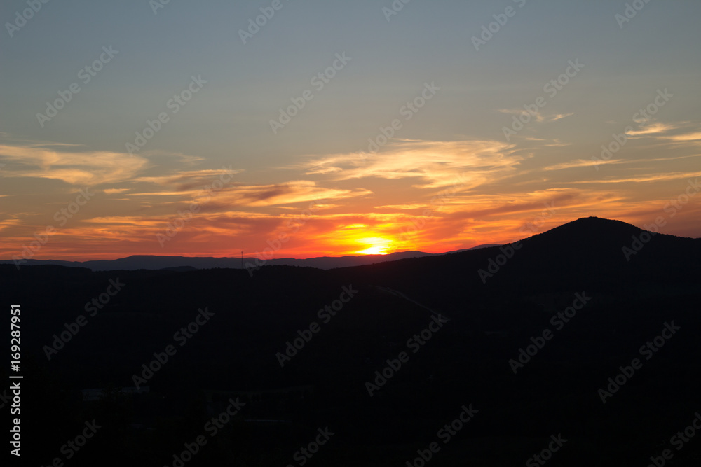 Obraz premium Pomarańczowy grzbiet 2