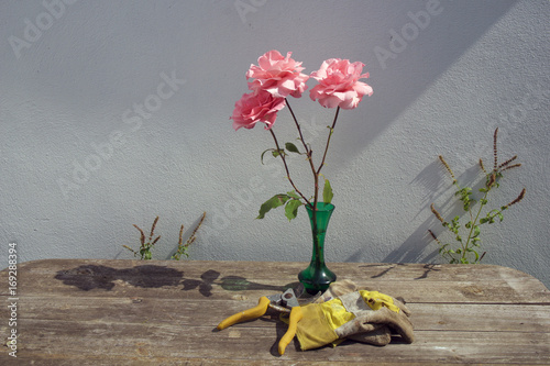3 roses with gloves