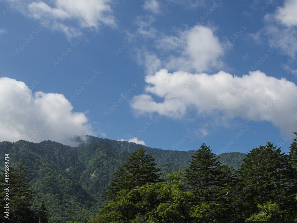 view of the forests on the mountain on blue sky with cloud background