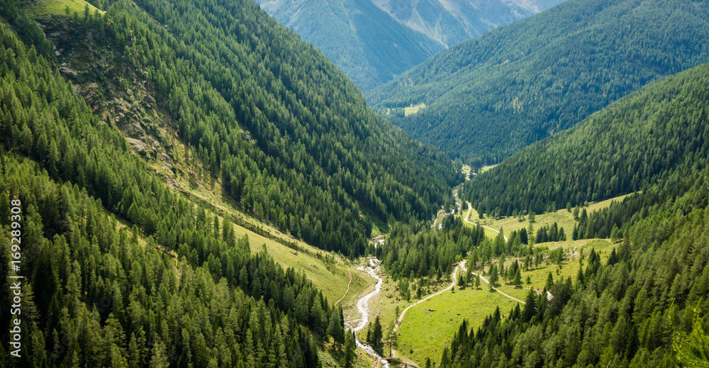 waterfall mountain landscape. Rabbi Valley, Trentino Alto Adige, Italy
