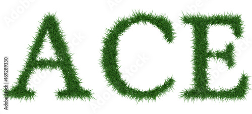 Ace - 3D rendering fresh Grass letters isolated on whhite background.