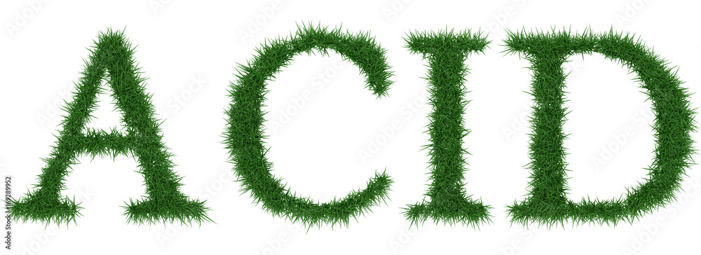 Acid - 3D rendering fresh Grass letters isolated on whhite background. Acid - 3D rendering fresh Grass letters isolated on whhite background.
