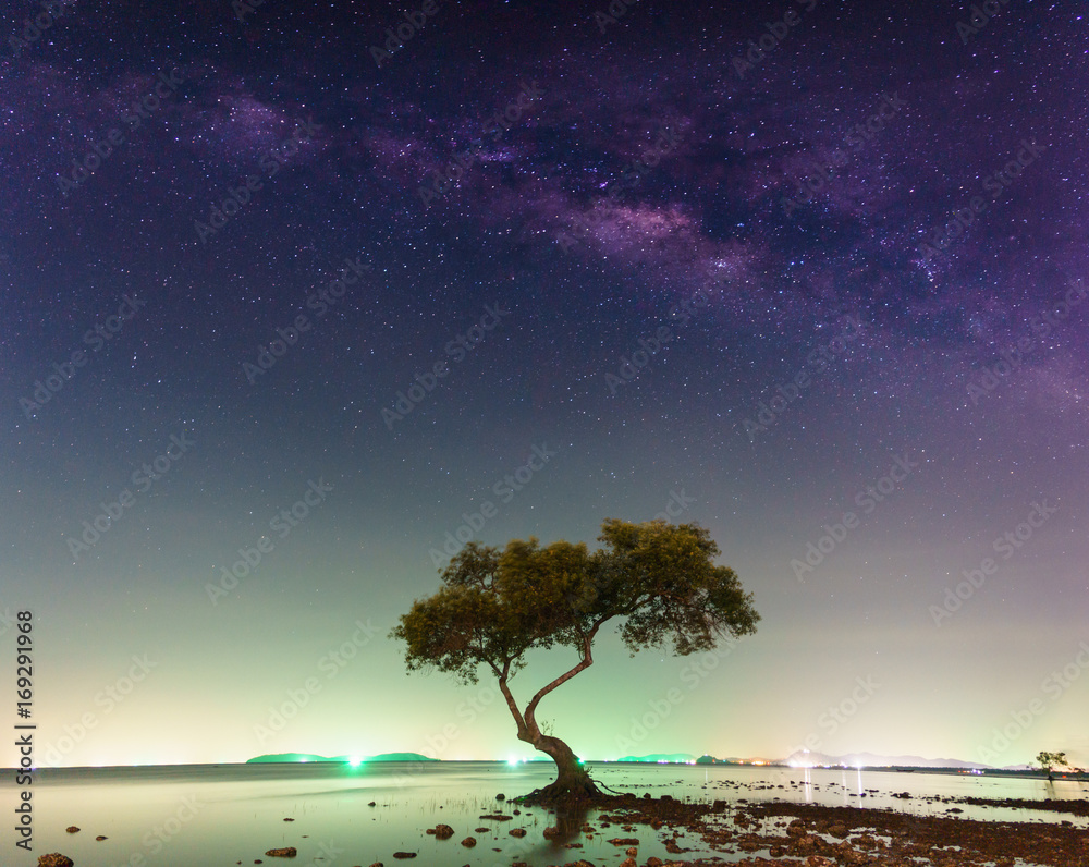 Milky way over the tree Milky way over the tree