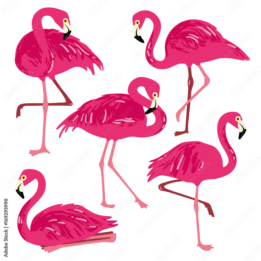 Obraz premium Vector set with pink flamingos. Hand Drawn illustration