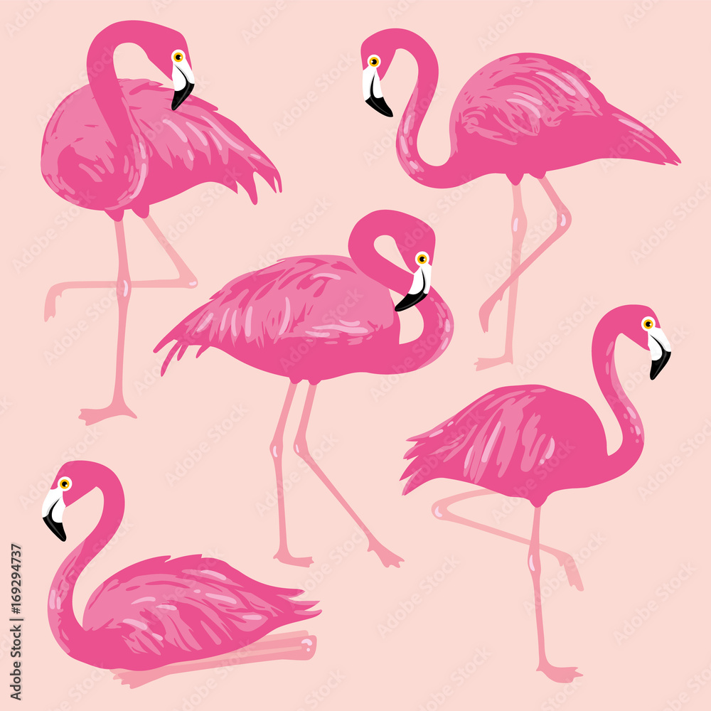 Fototapeta premium Vector set with pink flamingos. Hand Drawn illustration