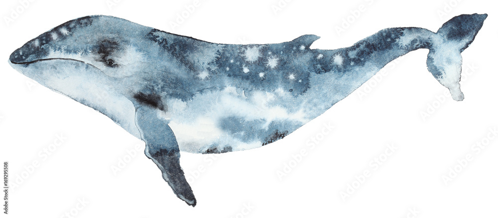 Obraz Akwarela płetwal błękitny