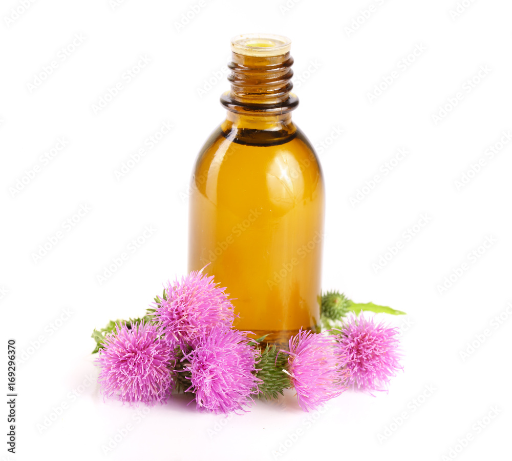 thistle oil and milk thistle flower isolated on white background thistle oil and milk thistle flower isolated on white background