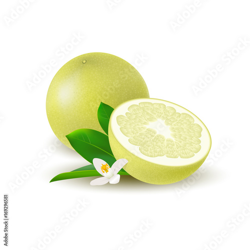 Isolated colored yellow whole and half of juicy pomelo with green leaves, white flower and shadow on white background. Realistic citrus fruit.