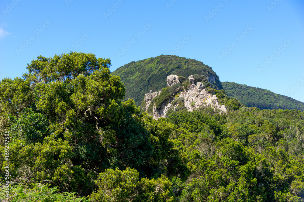 Fototapeta premium La Gomera Cumbre de Chijeré Blick auf eine Felsgruppe