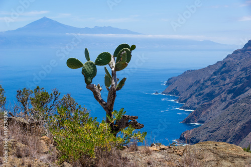 Kaktus mit Blick auf den Teide auf La Gomera photo