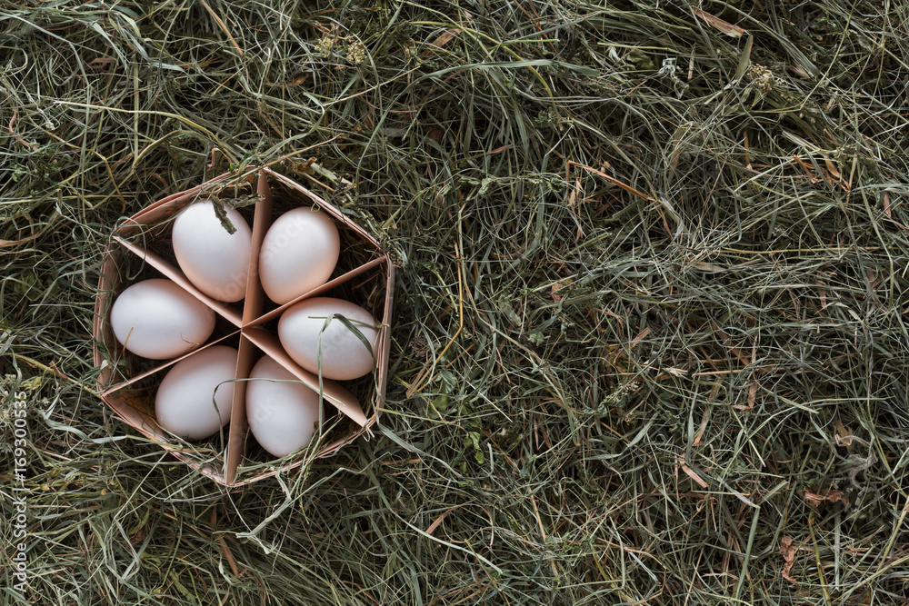 Fresh chicken white eggs in carton on rustic wood background Fresh chicken white eggs in carton on rustic wood background