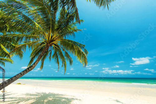 Beautiful tropical beach with coconut tree palm, located Koh Chang Island, Thailand