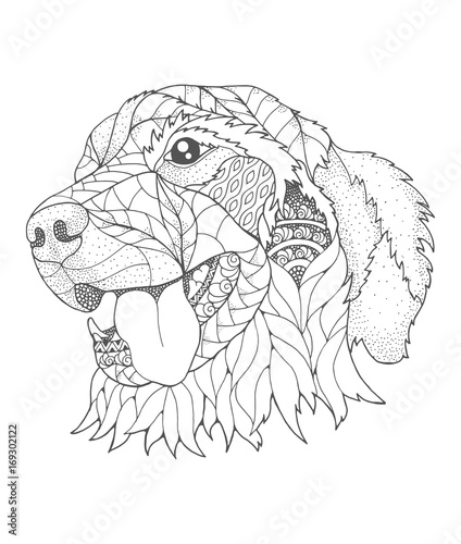 Golden retriever dog in zentangle and stipple style. Vector illustration. Anti stress coloring book for adults and kids.