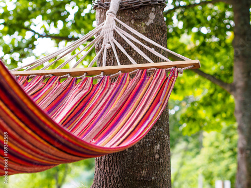 Empty hammock by a tree
