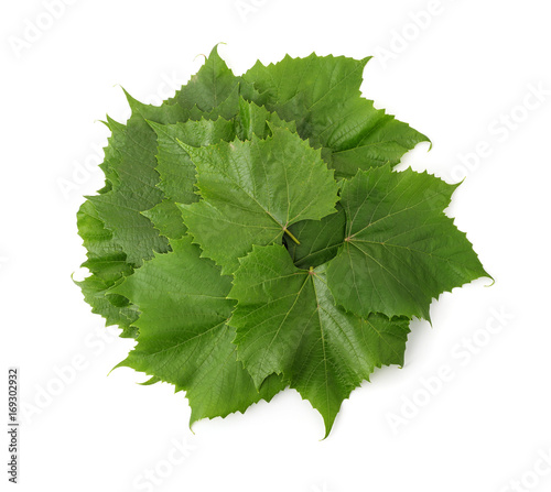 Top view of grape leaves stack photo