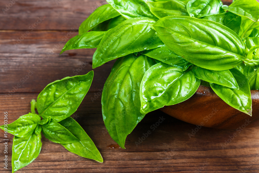 Basil fresh aromatic herb spice for italian vegetarian salads on a wooden dark background in rustic style with copy space Basil fresh aromatic herb spice for italian vegetarian salads on a wooden dark background in rustic style with copy space