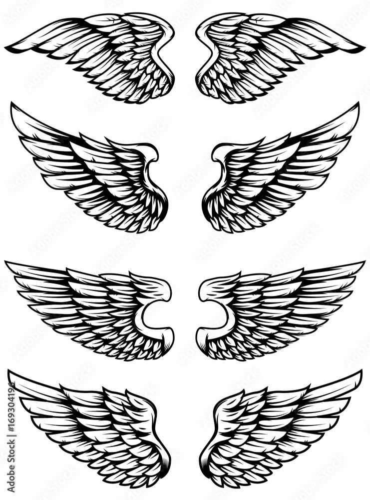 Fototapeta premium Set of bird wings isolated on white background.