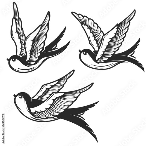 Set of swallow illustrations isolated on white background. Design elements for emblem, sign, badge, t shirt. Vector illustration