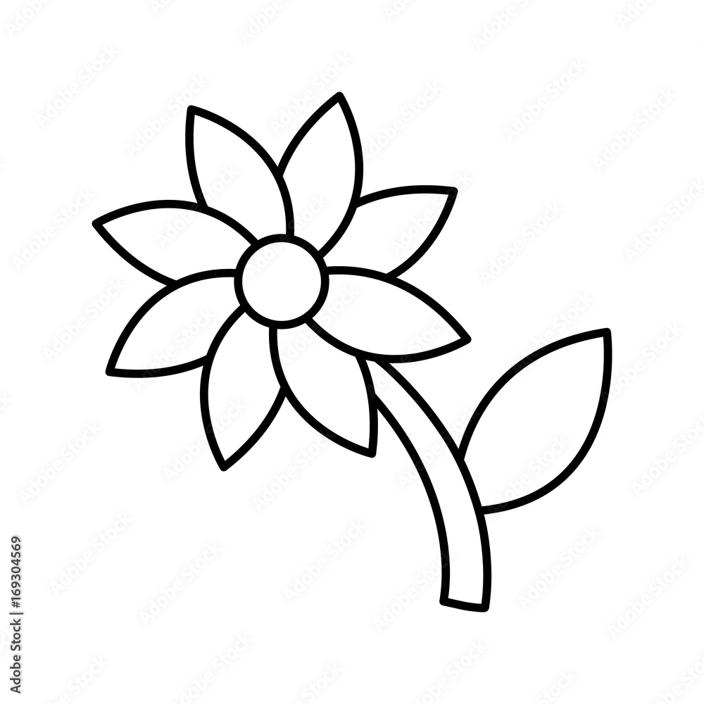 beautiful flower icon over white background vector illustration beautiful flower icon over white background vector illustration