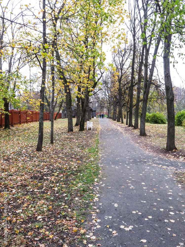 Fototapeta premium Тропа в парке