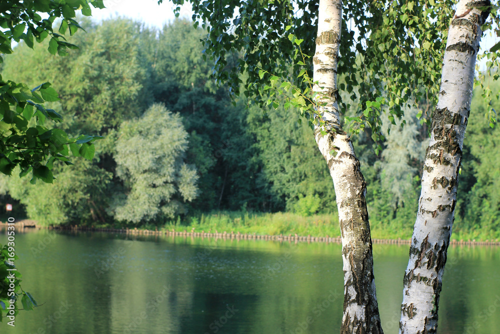 Fototapeta premium in the Park by the pond