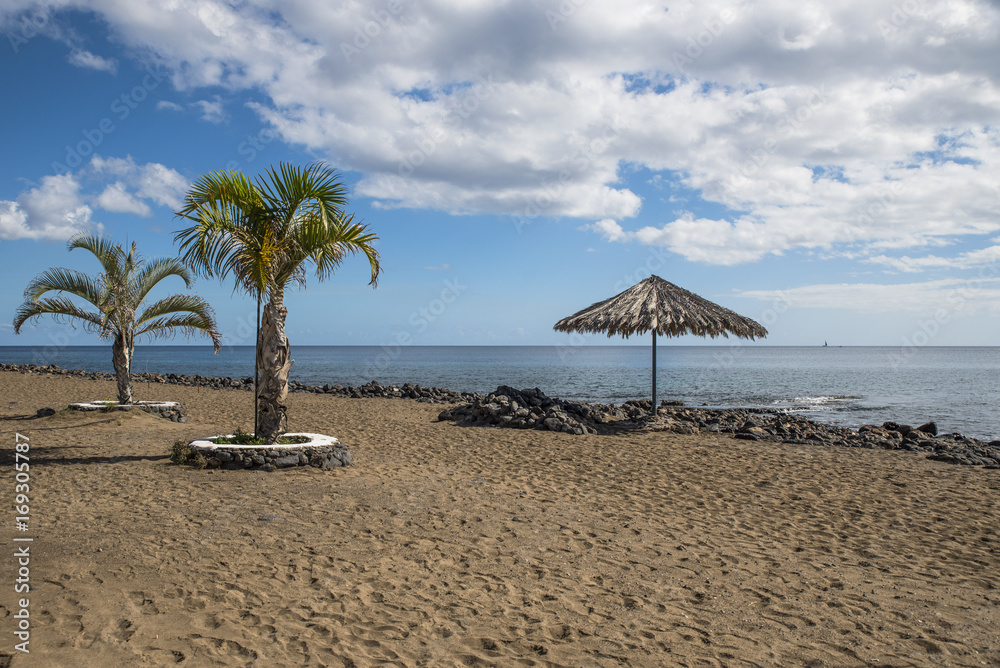 Fototapeta premium Spiaggia con palme e ombrellone