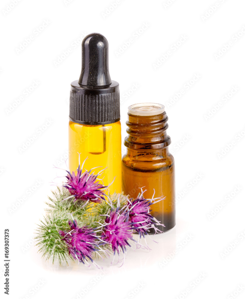 burdock oil in glass bottle and burdock flowers isolated on white background burdock oil in glass bottle and burdock flowers isolated on white background