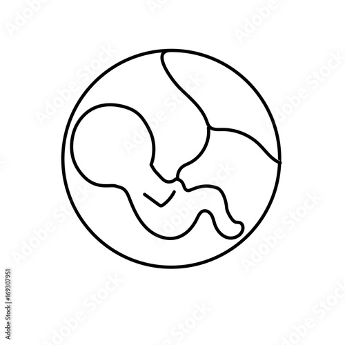 line baby with umbilical cord inside mothers uterus