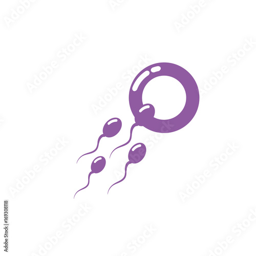 silhouette ovum with spermatozoon to biology fertilizacion procreation