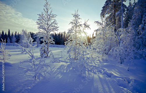 Winter landscape © Fanfo