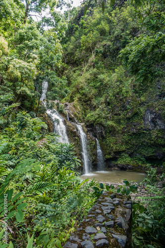 Maui Waterfall 2