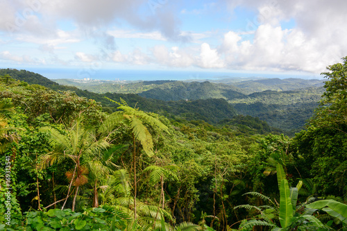 Panoramic view to El Yunque national forest in Puerto Rico photo