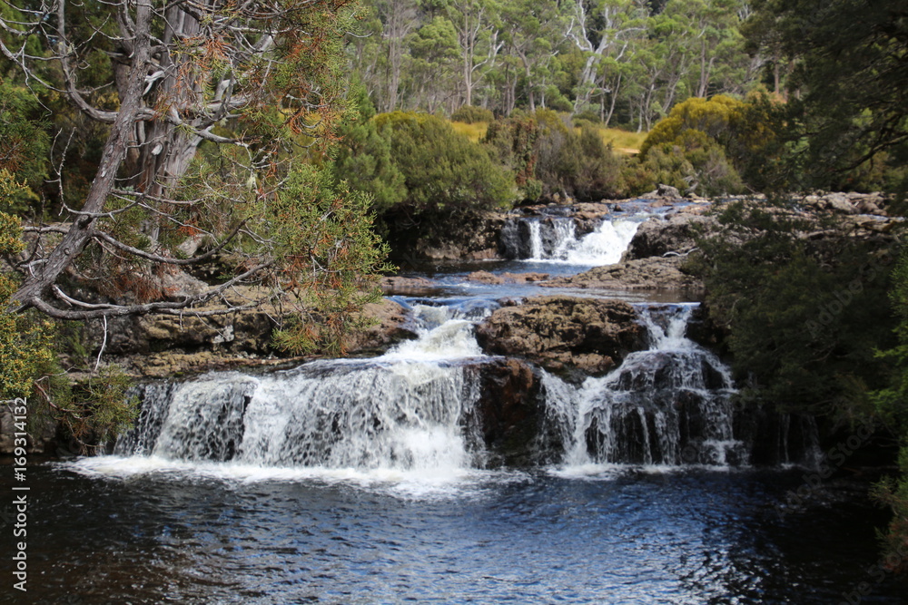 Fototapeta premium Wasserfall - Cradle-Mountain