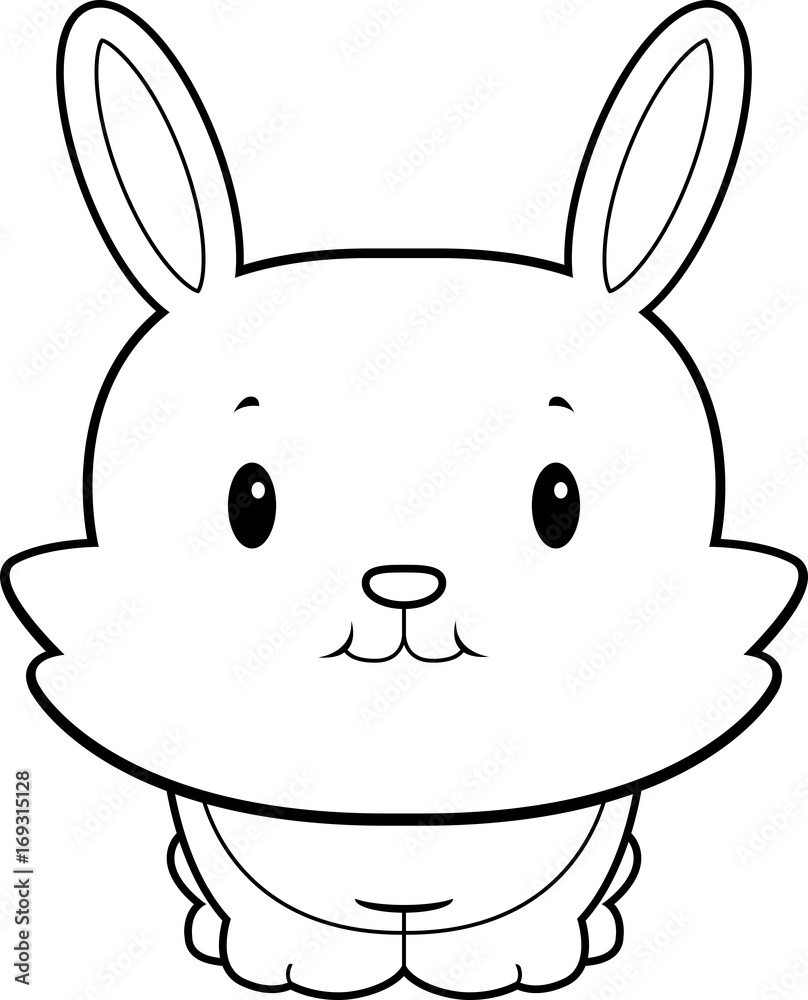 Baby Rabbit Baby Rabbit