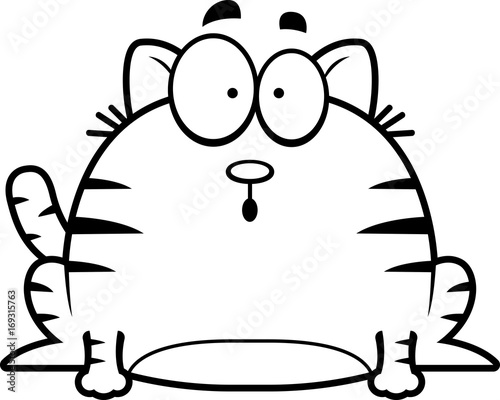 Surprised Little Cat