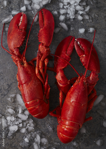 Two steamed maine lobsters on ice