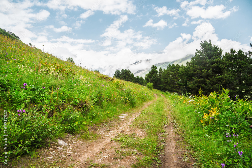 A dirt road running along the mountainside with grass and trees