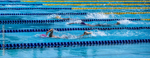 Swimming in pool, Sport concept